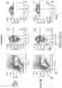 Fig. 07 - NATURAL KILLER CELLS AND USES THEREOF