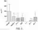 Fig. 08 - NATURAL KILLER CELLS AND USES THEREOF