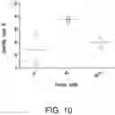 Fig. 13 - NATURAL KILLER CELLS AND USES THEREOF