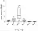 Fig. 15 - NATURAL KILLER CELLS AND USES THEREOF