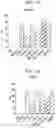 Fig. 08 - TUMOR INFILTRATING LYMPHOCYTES AND METHODS OF THERAPY