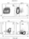 Fig. 49 - TUMOR INFILTRATING LYMPHOCYTES AND METHODS OF THERAPY