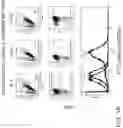 Fig. 02 - ENGINEERING AND DELIVERY OF THERAPEUTIC COMPOSITIONS OF FRESHLEY ISOLATED CELLS