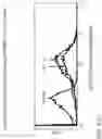 Fig. 35 - ENGINEERING AND DELIVERY OF THERAPEUTIC COMPOSITIONS OF FRESHLEY ISOLATED CELLS