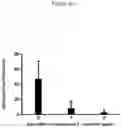Fig. 06 - C. novyi for the treatment of solid tumors in humans