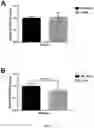 Fig. 06 - Spore-based probiotic composition for modulation of dermal and sub-dermal properties