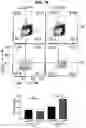 Fig. 22 - Expression of metabolic modulators in tumor microenvironment to improve tumor therapy