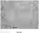 Fig. 24 - COMPOSITIONS AND METHODS FOR MODULATING ENDOTHELIAL CELL MIGRATION AND ANGIOGENESIS