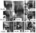 Fig. 02 - A topical herbal healing formulation