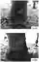 Fig. 07 - A topical herbal healing formulation