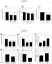 Fig. 03 - METHOD FOR MODULATING INSULIN-INDEPENDENT GLUCOSE TRANSPORT USING TENEURIN C-TERMINAL ASSOCIATED PEPTIDE (TCAP)