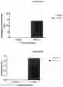 Fig. 08 - METHOD FOR MODULATING INSULIN-INDEPENDENT GLUCOSE TRANSPORT USING TENEURIN C-TERMINAL ASSOCIATED PEPTIDE (TCAP)