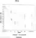 Fig. 04 - PHARMACEUTICAL COMBINATION FOR USE IN GLYCEMIC CONTROL IN DIABETES TYPE 2 PATIENTS