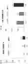 Fig. 03 - METHODS AND COMPOSITIONS FOR PRE-EMPTIVE TREATMENT OF GRAFT VERSUS HOST DISEASE
