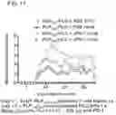 Fig. 22 - Peptide conjugated particles