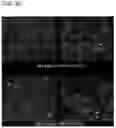 Fig. 35 - Peptide conjugated particles