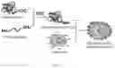 Fig. 02 - Bacteriologically-modified whole-cell tumor vaccine and method of making same