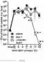 Fig. 03 - Transcutaneous dosage formulation