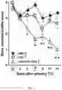 Fig. 04 - Transcutaneous dosage formulation