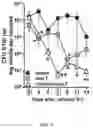 Fig. 05 - Transcutaneous dosage formulation