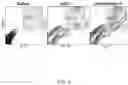 Fig. 07 - Transcutaneous dosage formulation