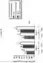 Fig. 11 - Modified norovirus VP1 proteins and VLPS comprising modified norovirus VP1 proteins