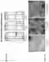 Fig. 14 - Modified norovirus VP1 proteins and VLPS comprising modified norovirus VP1 proteins