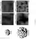 Fig. 07 - Epstein-barr virus vaccines