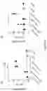 Fig. 16 - Epstein-barr virus vaccines