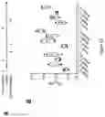 Fig. 24 - Epstein-barr virus vaccines