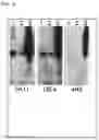 Fig. 05 - TREATMENT