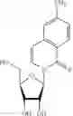 Fig. 101 - IL-2 conjugates and methods of use thereof