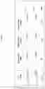 Fig. 17 - IL-2 conjugates and methods of use thereof