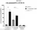 Fig. 23 - IL-2 conjugates and methods of use thereof