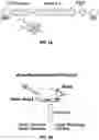 Fig. 02 - Gene therapy for eosinophilic disorders