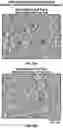 Fig. 28 - Gene therapy for eosinophilic disorders
