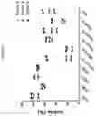 Fig. 06 - MATERIALS AND METHODS FOR TREATMENT OF HEMOGLOBINOPATHIES