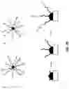 Fig. 22 - Compositions and methods for enhanced fluorescence