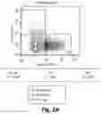 Fig. 03 - METHODOLOGY FOR IDENTIFYING GENE DELIVERY VECTORS WITH RETINAL CELL SPECIFICITY IN NON-HUMAN PRIMATE
