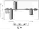 Fig. 04 - METHODOLOGY FOR IDENTIFYING GENE DELIVERY VECTORS WITH RETINAL CELL SPECIFICITY IN NON-HUMAN PRIMATE