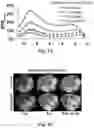 Fig. 07 - SALICYLIC ACID-BASED POLYMERIC CEST CONTRAST AGENTS TARGETING PROSTATE-SPECIFIC MEMBRANE ANTIGEN AND USES THEREOF