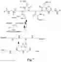 Fig. 10 - SALICYLIC ACID-BASED POLYMERIC CEST CONTRAST AGENTS TARGETING PROSTATE-SPECIFIC MEMBRANE ANTIGEN AND USES THEREOF