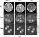 Fig. 06 - IMAGING PHANTOM