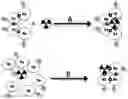 Fig. 01 - MULTINUCLEAR COMPLEXES AND THEIR PREPARATION