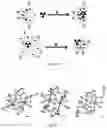 Fig. 02 - MULTINUCLEAR COMPLEXES AND THEIR PREPARATION