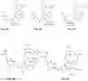 Fig. 06 - Synthesis and composition of photodynamic therapeutic agents for the targeted treatment of cancer