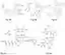 Fig. 07 - Synthesis and composition of photodynamic therapeutic agents for the targeted treatment of cancer