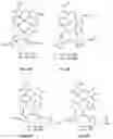 Fig. 09 - Synthesis and composition of photodynamic therapeutic agents for the targeted treatment of cancer