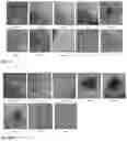 Fig. 19 - Synthesis and composition of photodynamic therapeutic agents for the targeted treatment of cancer