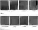 Fig. 24 - Synthesis and composition of photodynamic therapeutic agents for the targeted treatment of cancer